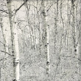 Helen Altman