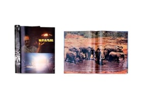 Peter Coffin Untitled (UFO/Elephants) 