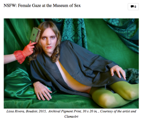 NSFW: Female Gaze at the Museum of Sex Featuring Rebecca Goyette and Sophia Narrett