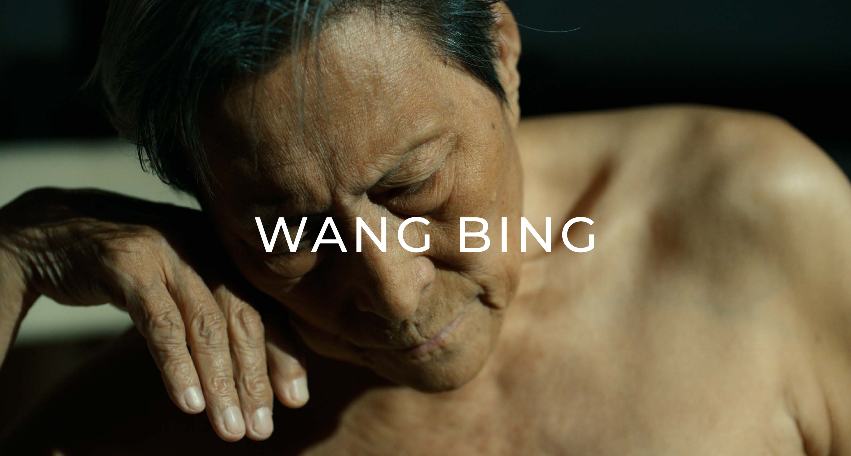 Wang Bing Dossier 2024