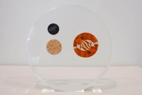 Tazeen Qayyum USE ONLY AS DIRECTED 2009 Opaque watercolor and entomology pins on wasli embedded in Lucite 9 dia x 1.5 in. NFS