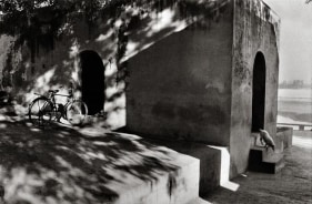 Raghu Rai Doggy under Shadow, Rajasthan Edition of 10 1972 Digital scan of photographic negative on archival paper 20 x 30 in.