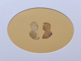 Rose Petal Portraits: Silhouettes 27-28 &ndash; Queen Elizabeth II and Trump