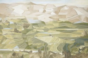 RICE FIELDS, PALNI HILLS 2008 Oil paint on canvas 40 x 60 in.