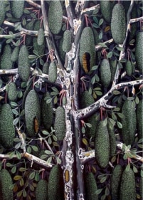 Rajan Krishnan PLANT FROM THE GROVE BY THE RIVER 1 2011 Acrylic on canvas 84 x 60 in.