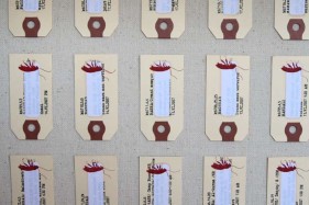 Tazeen Qayyum TEST ON A SMALL AREA BEFORE USE II 2007 Opaque watercolor and paper labels in wooden display case 20 x 16 x 2 in.