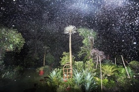 Raghu Rai TREES AT NIGHT 2 2010 Digital scan of photographic negative on archival paper 20 x 30 in.