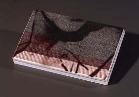 Aisha Hussain SHE BODY' SERIES - 2 2008 Ink and collage on raised wasli 5 x 8 in.