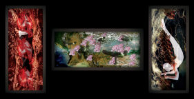 Sheba Chhachhi  Edible Birds I, II &amp; III (Triptych), 2007  3 x Light Box: Moving Image lightboxes, Digital Print on dura trans, wooden box, glass, lights, and motor  20 x 16 in