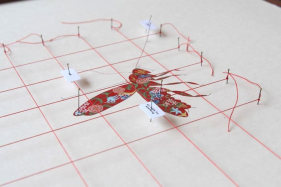 Tazeen Qayyum TEST ON A SMALL AREA BEFORE USE III 2007 Opaque watercolor, entomology pins, labels and cotton thread on wasli (prepared paper) in wooden display case 20 x 16 x 2 in.