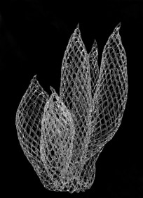 Marcy Chevali, Untitled, 2024