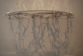 Amna Ilyas UNTITLED 4 2010 Acrylic with Metalizing 24 x 24 in.