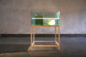 Atul Bhalla CAUSE 2007 Installation in Yamuna sand, cement, water, gravel, glass and Neem wood 48 x 36 x 18 in.