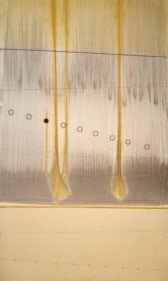 Avadesh Yadav UNTITLED 3 2007 Acrylic on canvas 60 x 36 in.