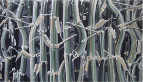 acrylic painting of bamboo with gray and black background