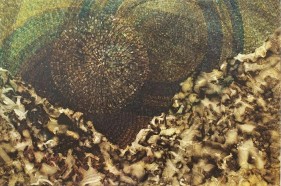 Sandeep Mukherjee UNTITLED 1 2008 Acrylic ink on Duralene 24 x 36 in. NFS