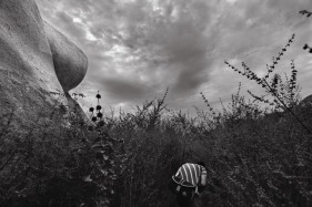 Raghu Rai ROCKS SERIES 5 2010 Digital scan of photographic negative on archival paper 20 x 30 in.