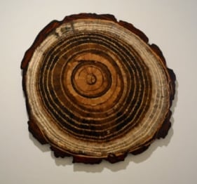 Tallur L.N.&nbsp;, Graft D, 2013