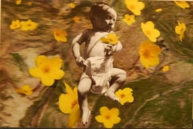 Farida Batool POOL MERA WATAN II 2009 Digital image with 3-D lens 20 x 30 in.