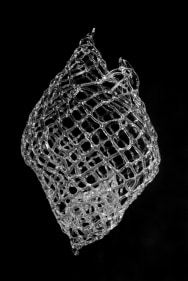 Marcy Chevali  Peraja, 2020  Flame worked glass  13h x 8w x 6.50d in