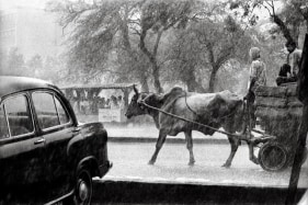 Raghu Rai MONSOON DOWNPOUR IN DELHI 1984 Digital scan of photographic negative on archival paper 20 x 30 in.