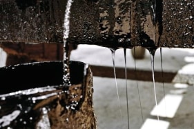 Sanjay Bhattacharyya TAR 2009 C-print on photographic paper 20 x 30 in.