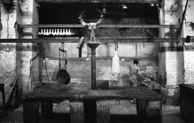 Sanjeet Chowdhury UNTITLED 2 (MEAT SERIES) 2008 DIgital prints on archival paper 16 x 24 in. Edition of 6 +2AP NFS