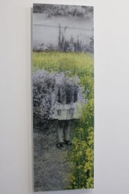 Farida Batool SOHNI DHARTI 1 2009 Lenticular print 59.5 x 20 in.