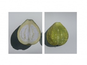 Avishek Sen  It's Very Cold Inside, 2016  Water based medium on paper  9.50h x 10w in