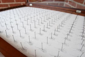 Tazeen Qayyum TEST ON A SMALL AREA BEFORE USE I 2007 Entomology pins and phototransfer on wasli (prepared paper) in wooden display case 20 x 16 x 2 in.