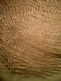 Amna Ilyas UNTITLED 8 2011 Acrylic 29.7 x 29.7 in., 29.8 x 29.8 in.