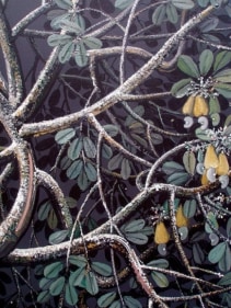Rajan Krishnan PLANT FROM THE GROVE BY THE RIVER 3 2011 Acrylic on canvas 84 x 60 in.