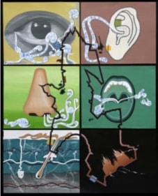 Reena Saini Kallat SALT LINES III 2007 Acrylic and carbon on board 66 x 54 in.