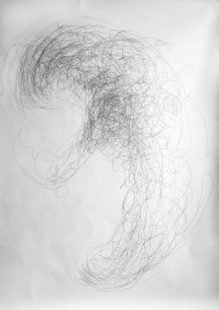 Marcy Chevali  Circumference I  Pencil on paper 60h x 48w in.