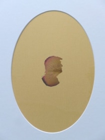 Rose Petal Portraits: Silhouette 45 &ndash; Trump