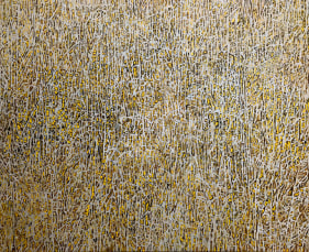 G. R. Iranna  Eternal Forest, 2017  Acrylic and ash on tarpaulin  54 in