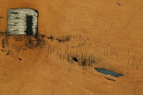 Saad Qureshi Untitled 2010 Ink and oil on suede 16 x 20 in NFS