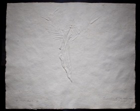 Somnath Hore WOUND SERIES-1 ND Cast handmade paper 19 x 25 in.