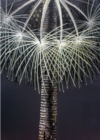 Rajan Krishnan Plant from the Grove by the River 4 2011 Acrylic on canvas  84 x 60 in.