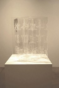 Amna Ilyas UNTITLED 3 2010 Acrylic 24 x 20 in.