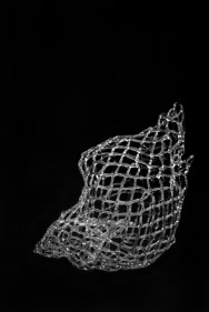 Marcy Chevali  Asrai, 2020  Flame worked glass  11h x 10w x 6d in