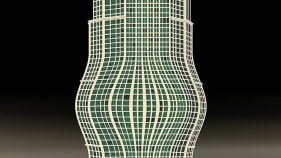 Pooja Iranna SWAAS 2010 Video (Ed. 1/3) 3:45 min.