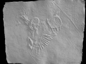 Somnath Hore WOUND SERIES 9 ND Cast handmade paper 19 x 25 in.