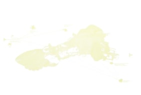 Jaret Vadera SHOOTING THE GIFT 2008 Silkscreen print on paper 17 x 24 in.