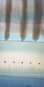 Avadesh Yadav UNTITLED 1 2007 Acrylic on canvas 70 x 36 in.