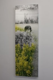 Farida Batool SOHNI DHARTI 1 2009 Lenticular print 59.5 x 20 in.