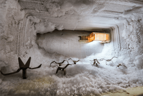 Prajakta Potnis  Capsule 504, 2015  Digital Print on Archival Photo Rag Paper  42 x 61.50 in