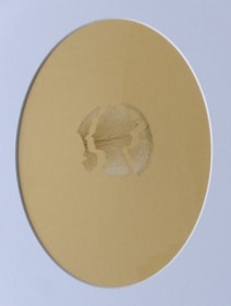 Rose Petal Portraits: Silhouette 92 &ndash; Queen Elizabeth II