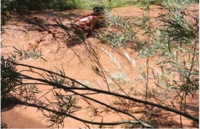 Mariam Ghani &amp; Erin Ellen Kelly Red Arroyo #1 (From the series Landscape Studies: New Mexico) 2008-10 Dye transfer print on aluminum 20 x 30 in.