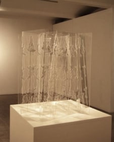 Amna Ilyas UNTITLED 3 2010 Acrylic 24 x 20 in.